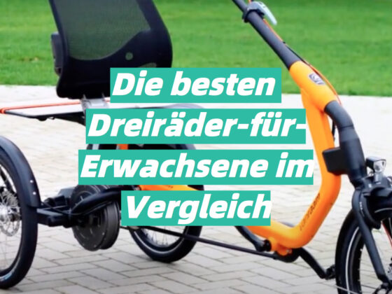 Fahrrad Dämpferpumpe Test